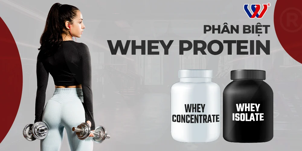 whey protein isolate