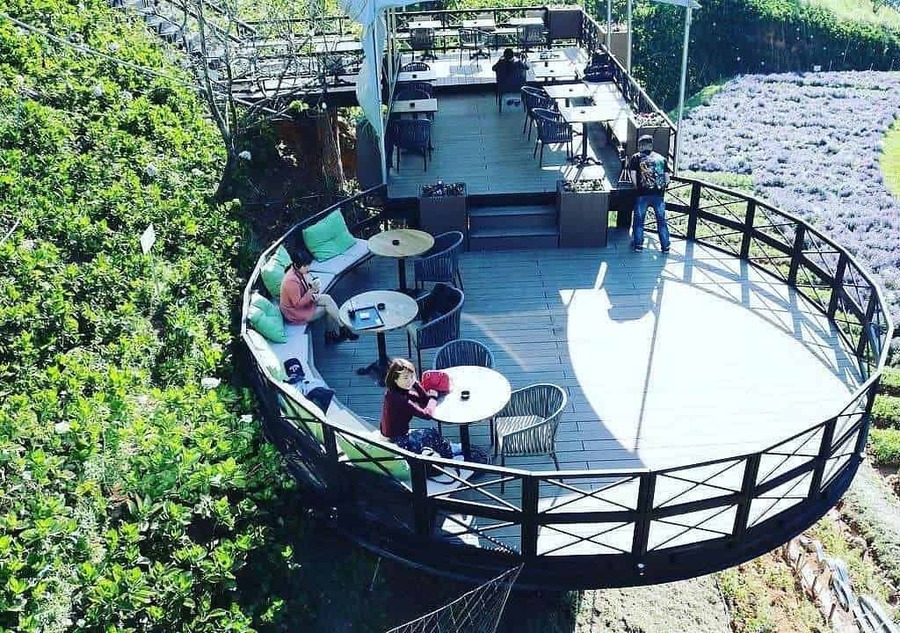 F Cánh Đồng Hoa - Quán cà phê sống ảo Đà Lạt