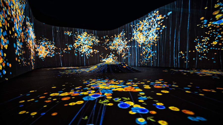 Du lịch tại Vườn Ánh Sáng Lumiere Đà Lạt