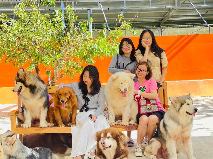 Trang Trại Cún Đà Lạt