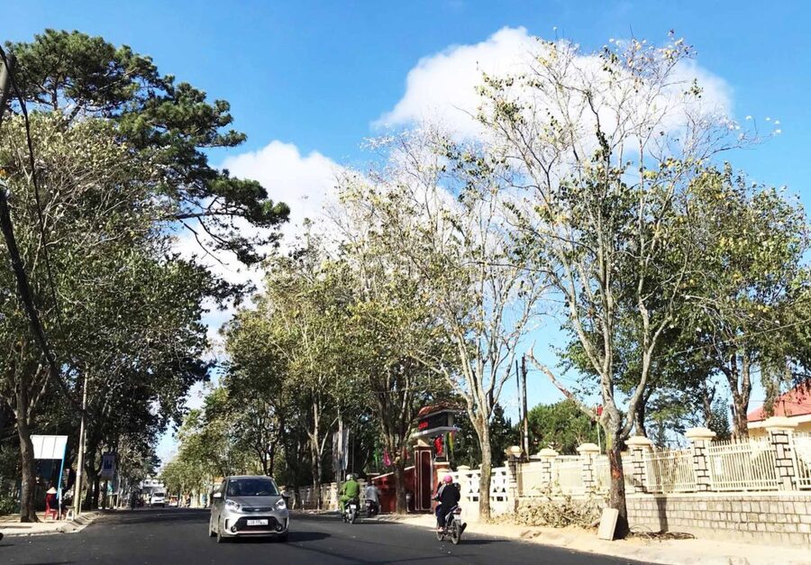 Đường Phù Đổng Thiên Vương