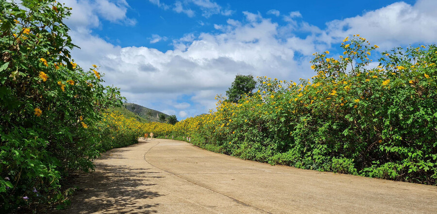 Tuyến đường Cầu đất – Dran – Đơn Dương – Phi Nôm