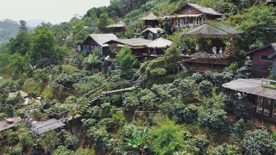 Cú Trên Cây Homestay