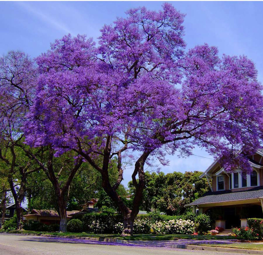 Đường Nguyễn Lương Bằng