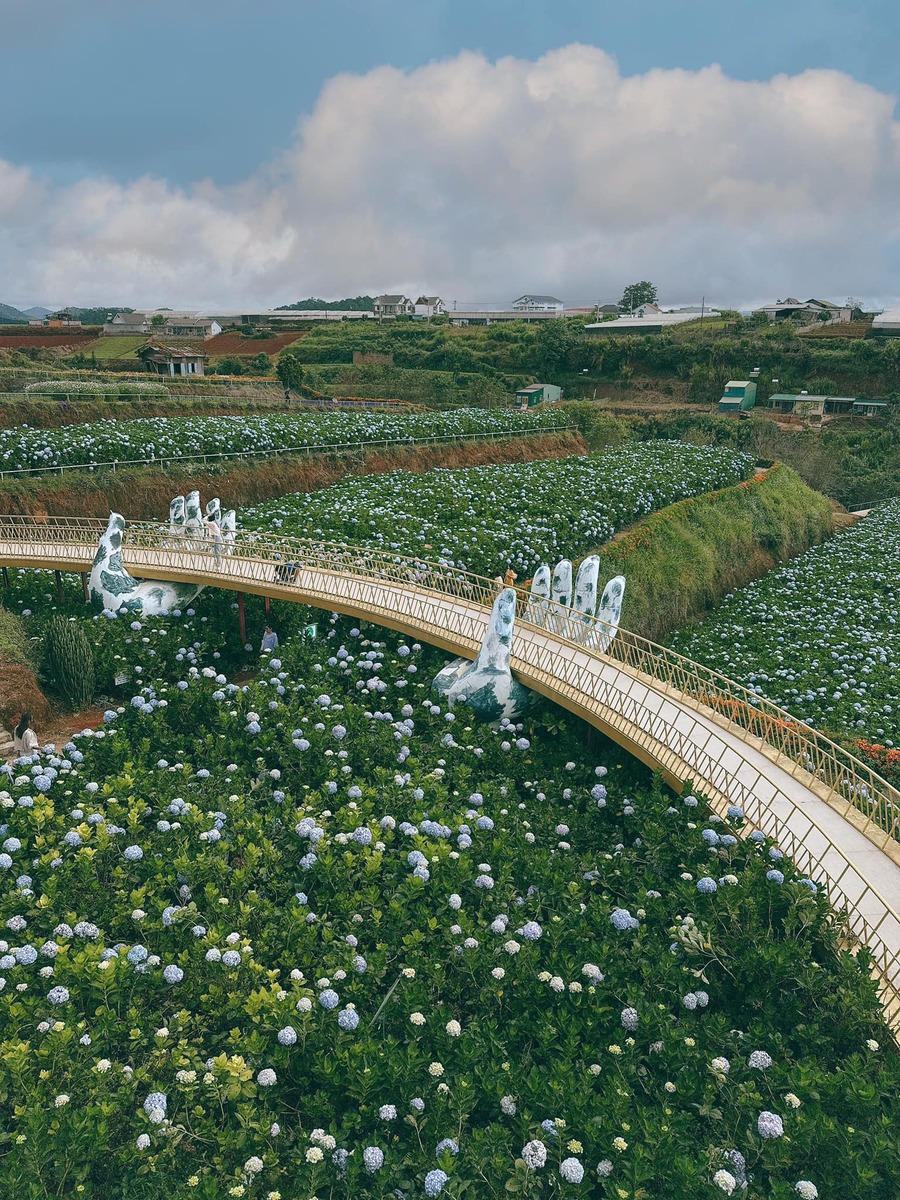Giá vé và giờ mở cửa