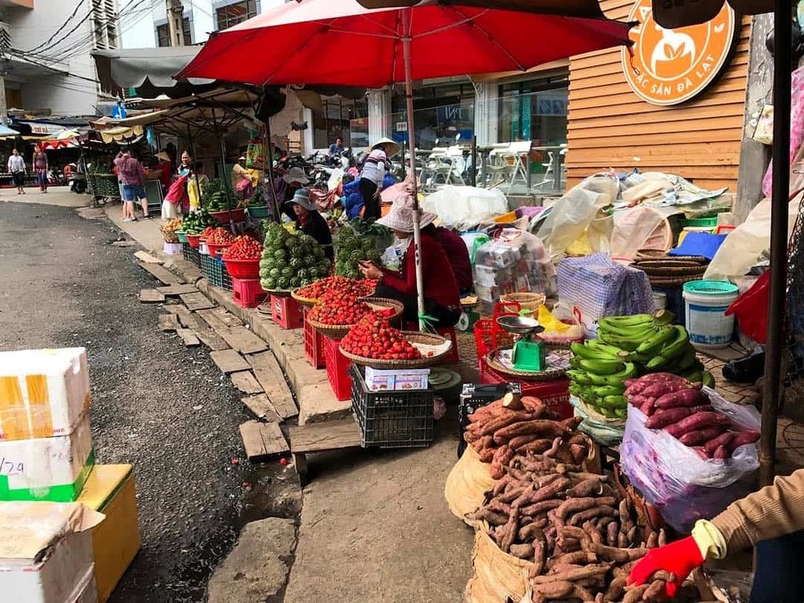 Các vựa trái cây chợ Đà Lạt 6
