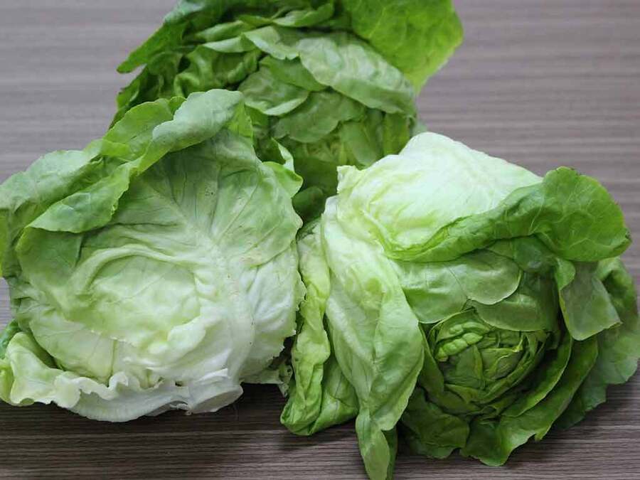 Rau xà lách