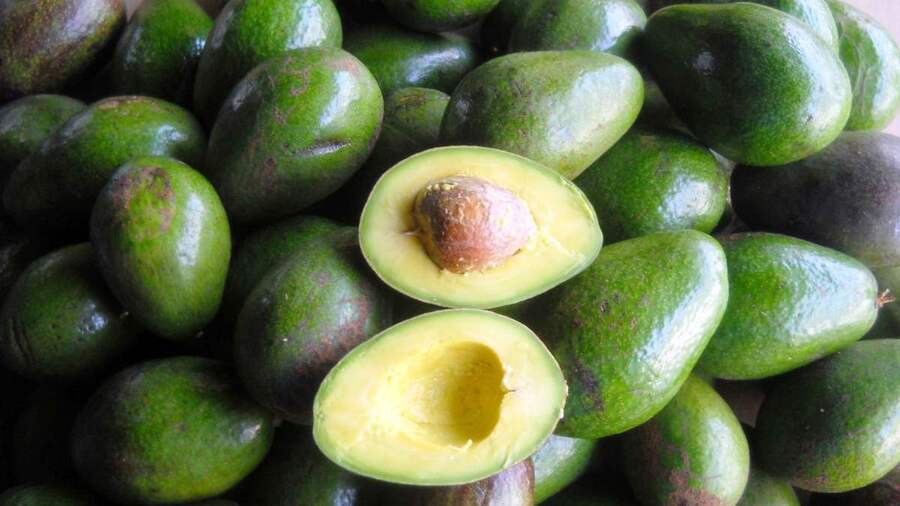 Đặc sản bơ sáp Đà Lạt