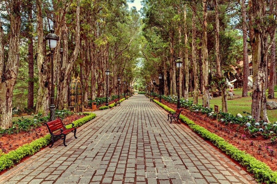 Khuôn viên bên ngoài