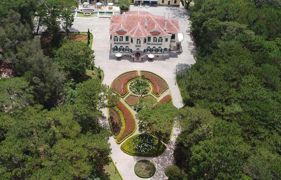 Khung cảnh rừng thông, vườn hoa