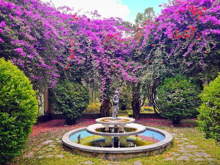 Công trình sử dụng đá rửa đầu tiên ở Việt Nam