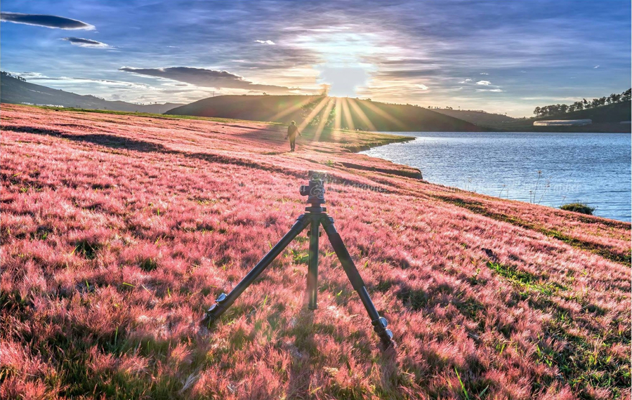 Đồi cỏ hồng hồ Tuyền Lâm Đà Lạt