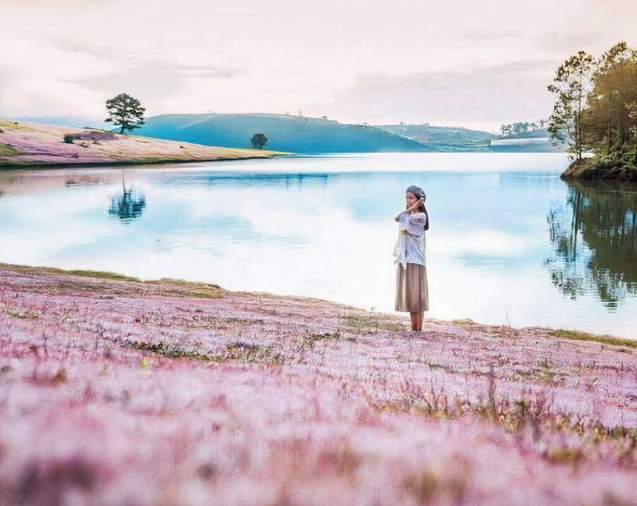 Chiêm ngưỡng phong cảnh hồ suối