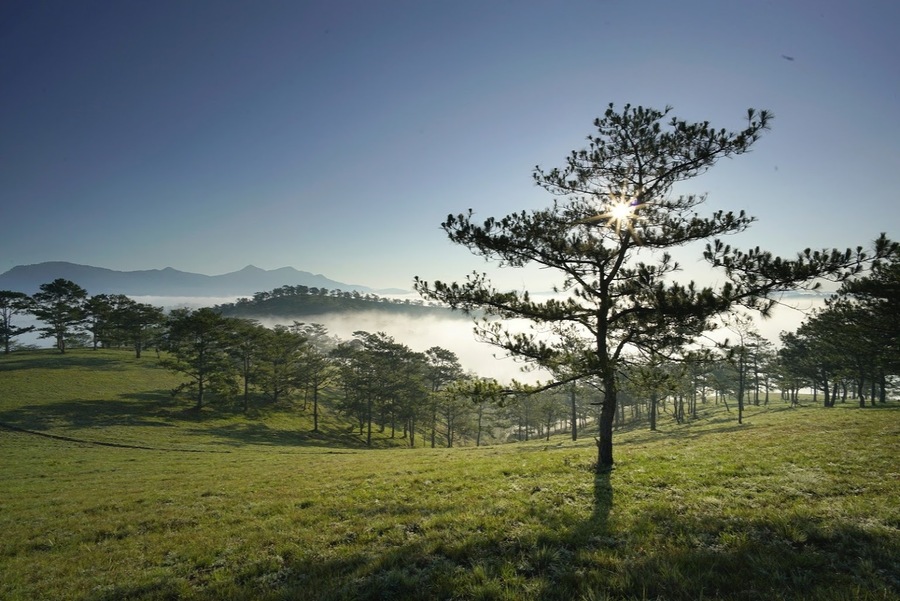 Đồi Đa Phú ở đâu?