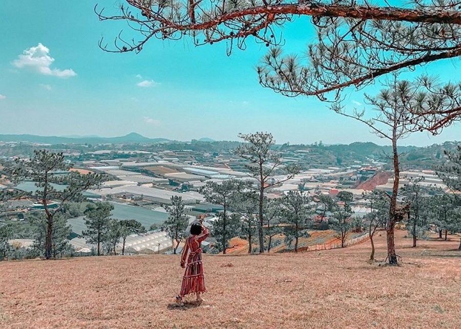 Hướng dẫn đường đi đồi Đa Phú Đà Lạt