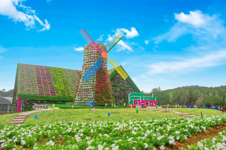 Cối xay gió khổng lồ