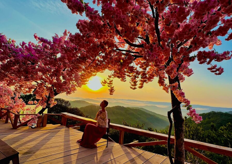 Giờ mở cửa và thông tin liên hệ