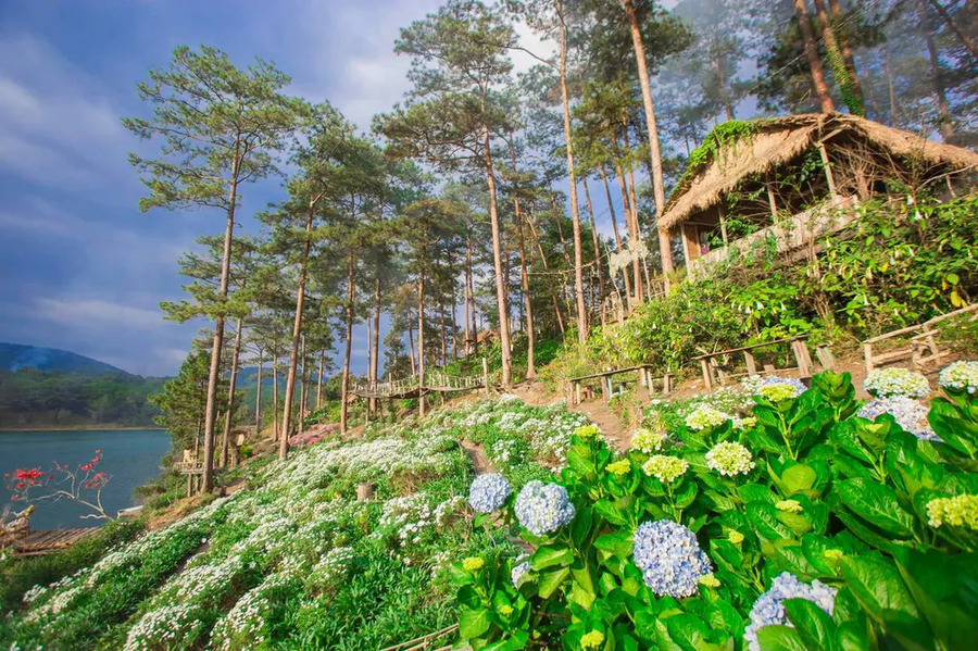 Giới thiệu Happy Hill Đà Lạt