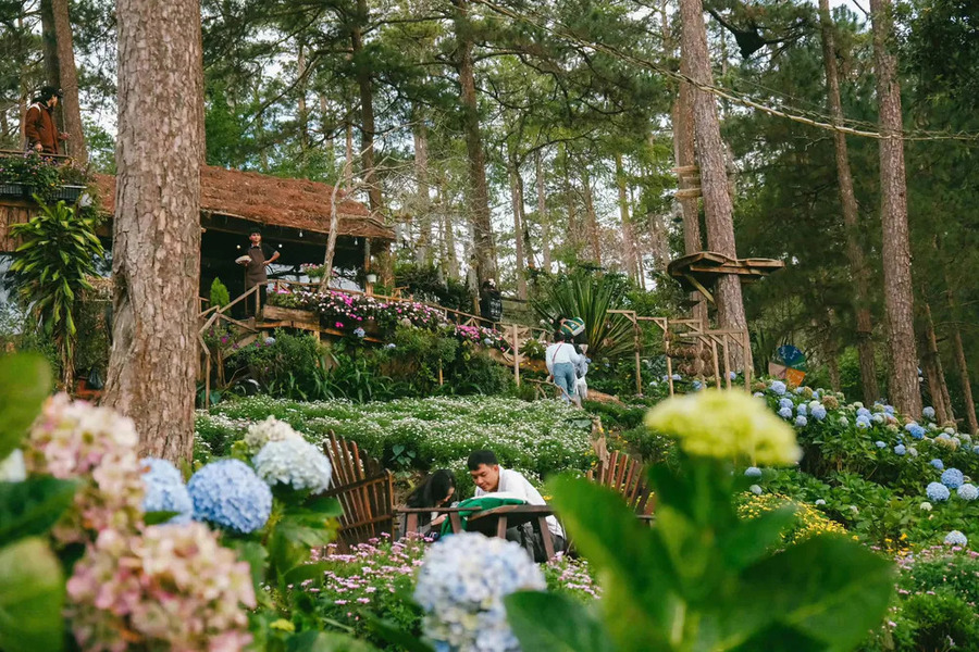 Địa chỉ Happy Hill Đà Lạt