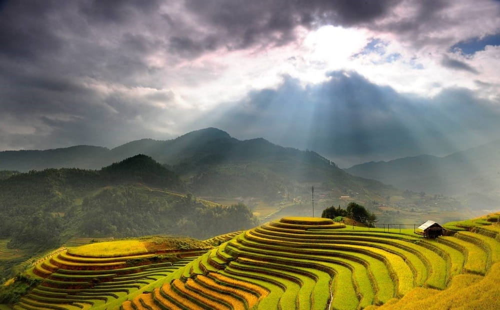 Nên ghé thăm quan và du lịch Hoàng Su Phì vào mùa nào