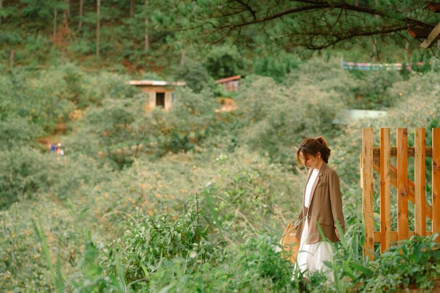 Hướng dẫn du khách đường đến In The Forest Đà lạt