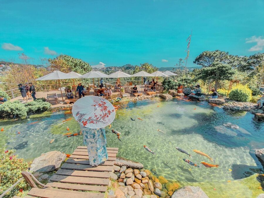 Thời điểm rừng lá phong Đà Lạt đẹp nhất trong năm