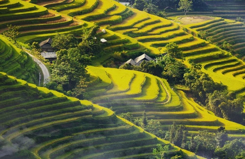 Khu vực Hoàng Su Phì Hà Giang