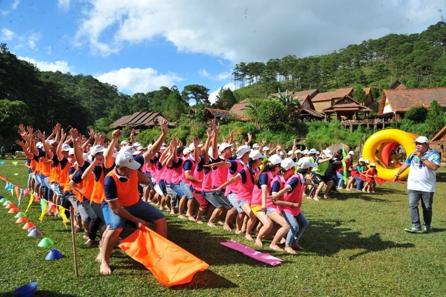 Tổ chức team building và cắm trại