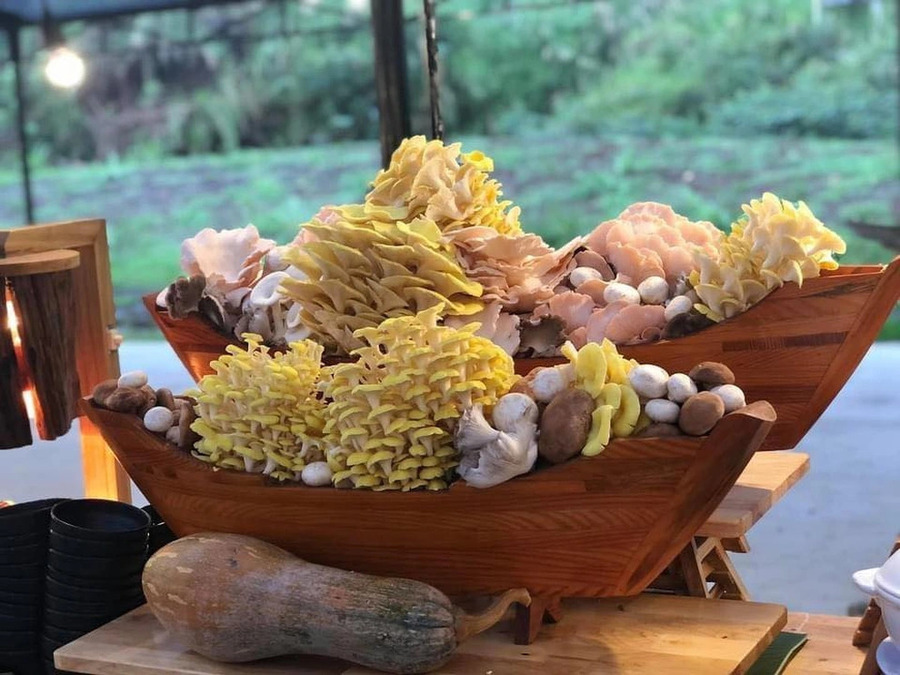 Giờ mở cửa tham quan Làng Nấm Đà Lạt