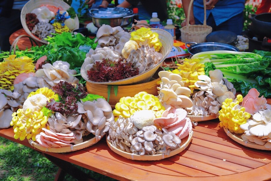 Thưởng thức các món ngon từ nấm