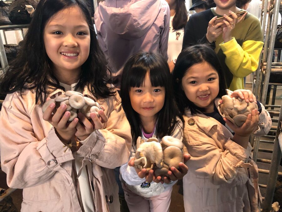 Một số lưu ý khi tham quan Làng Nấm