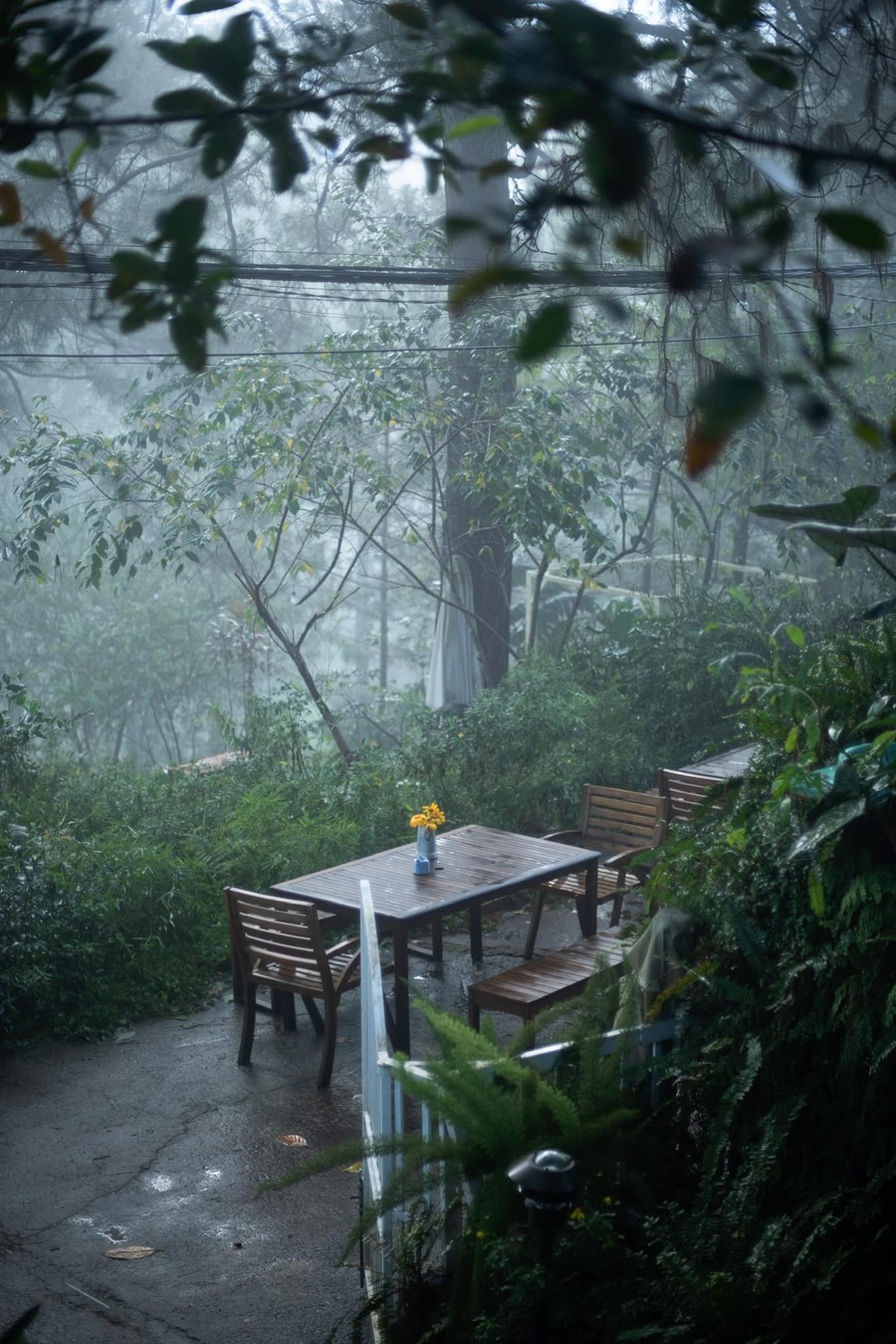 Giới thiệu về homestay Moonrise Garden Dalat