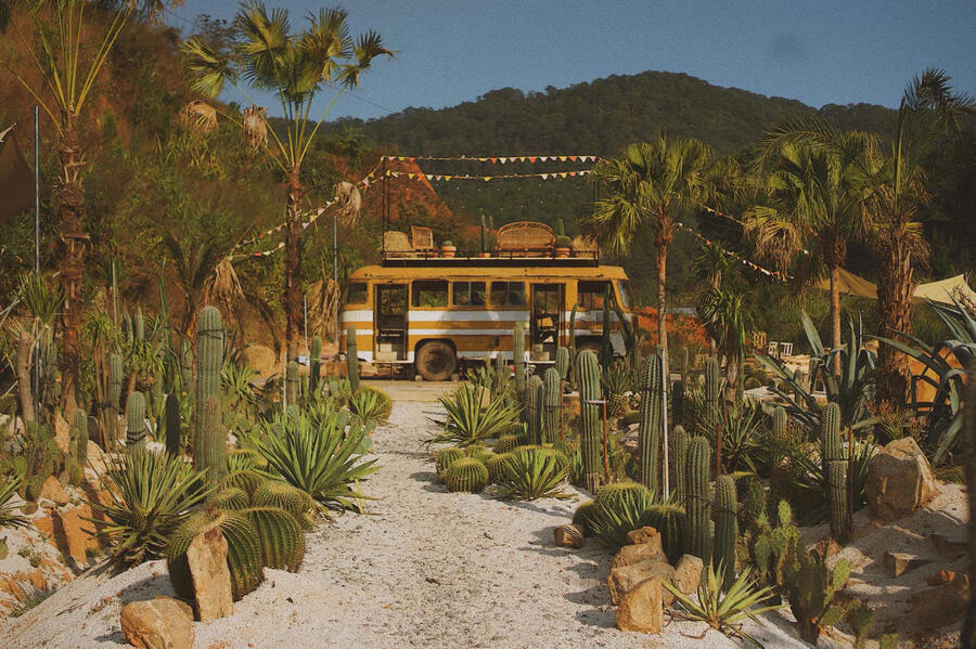 Kombi Land Đà Lạt – Vương quốc xương rồng