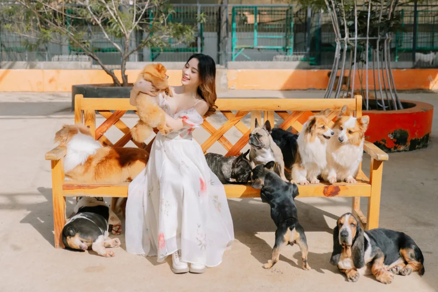 Bí kíp tham quan trại cún Đà Lạt Puppy Farm