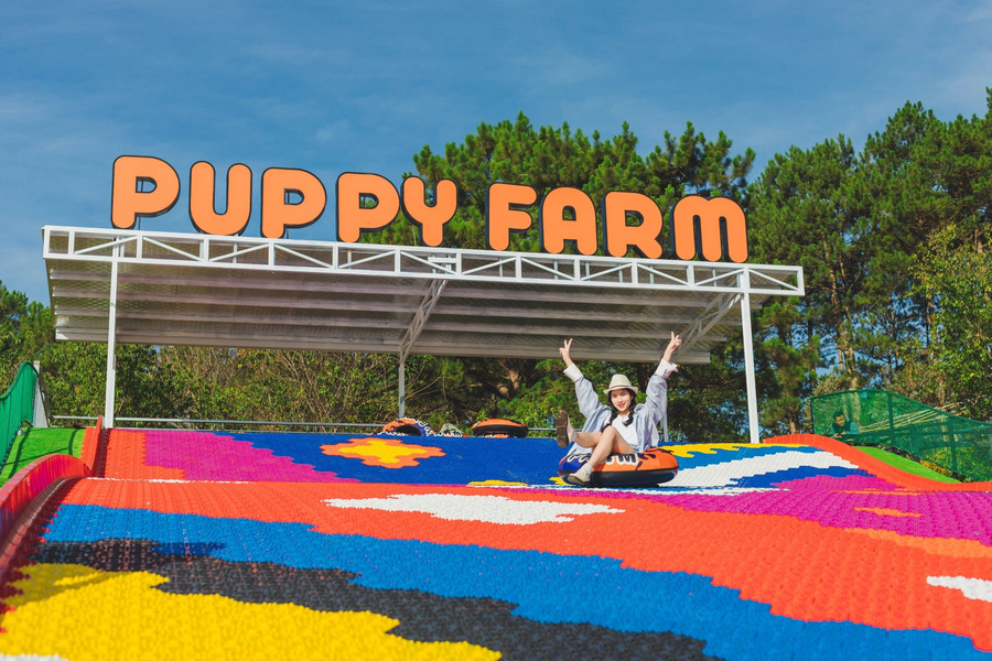 Nông trại cún Puppy Farm