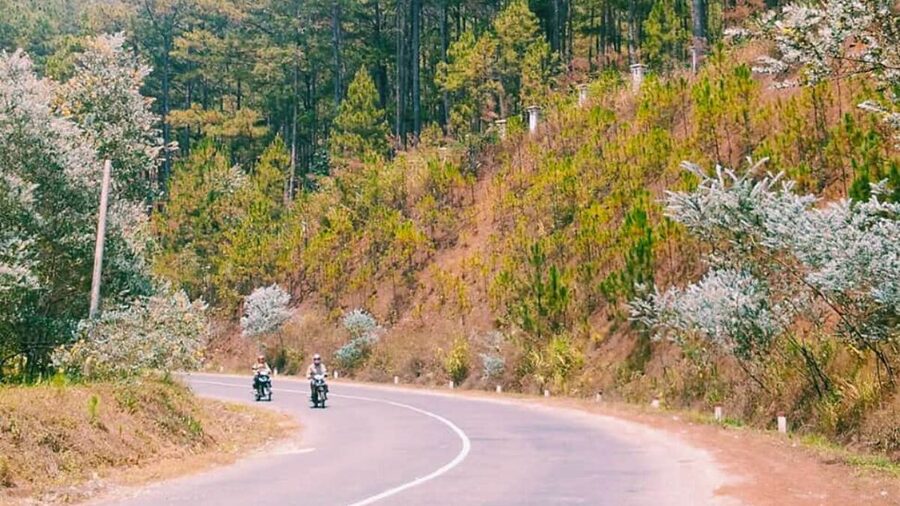 Những cung đường phượt đẹp nhất ở Đà Lạt