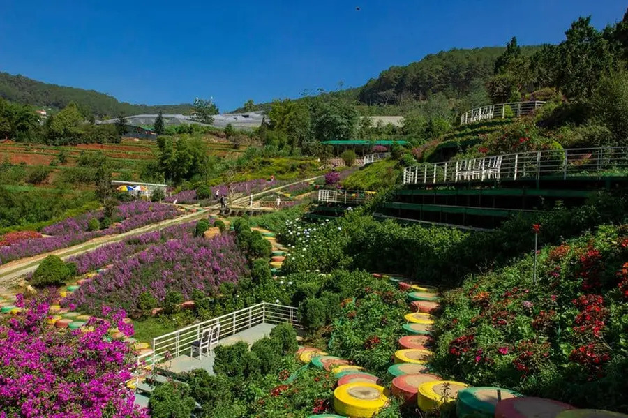 Vườn hoa bảy màu