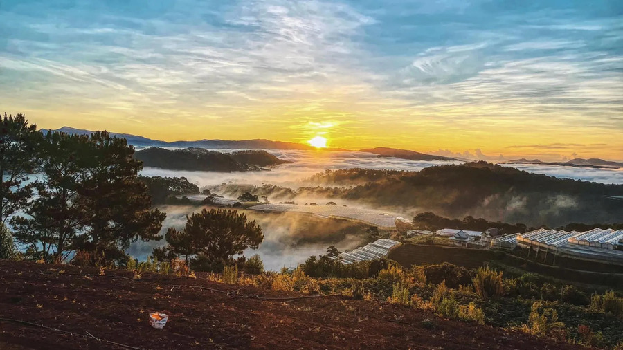 Rừng Thông Đà Lạt Trại Mát