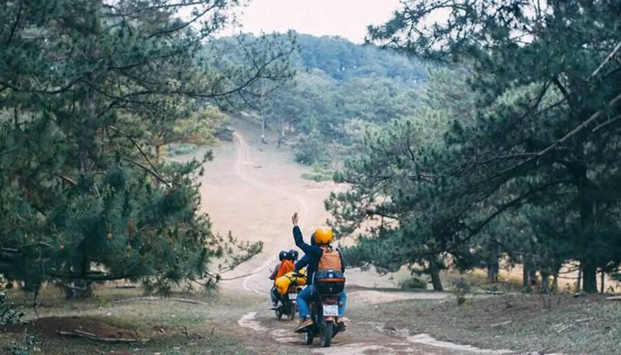 Những lưu ý khi đi rừng thông Đà Lạt