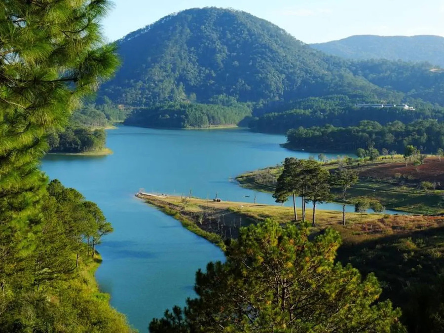 Rừng thông Đà Lạt hồ Tuyền Lâm