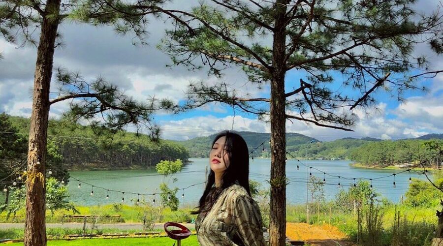 Rừng thông Đà Lạt tại hồ Than Thở