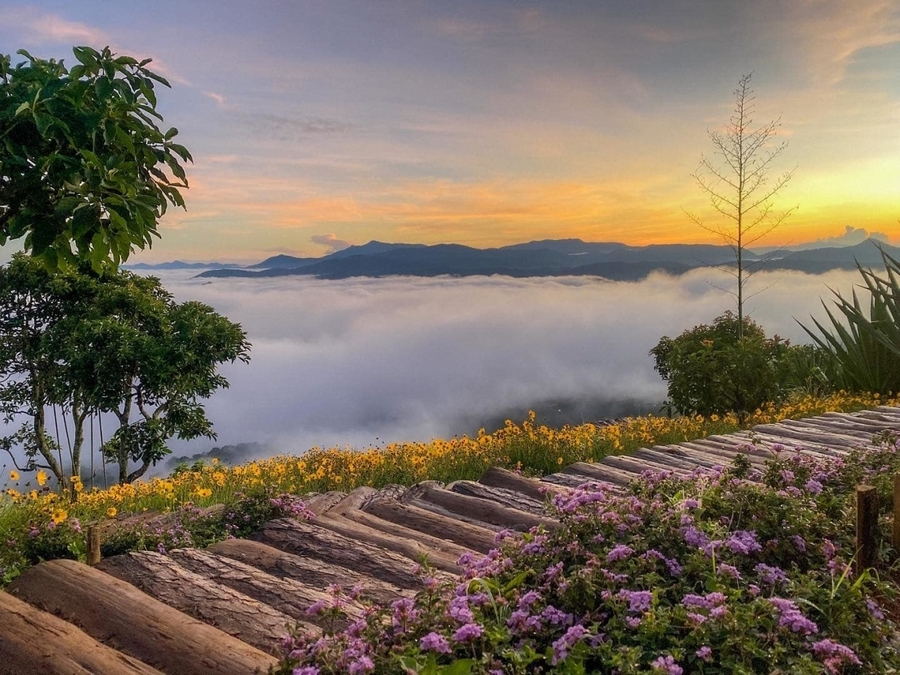 Thời điểm thích hợp để đi săn mây