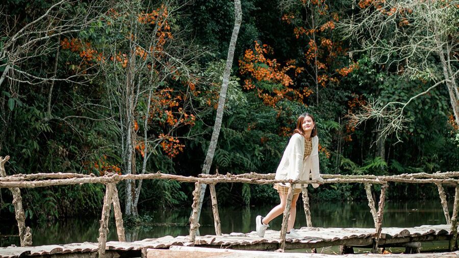 Thời gian mở cửa