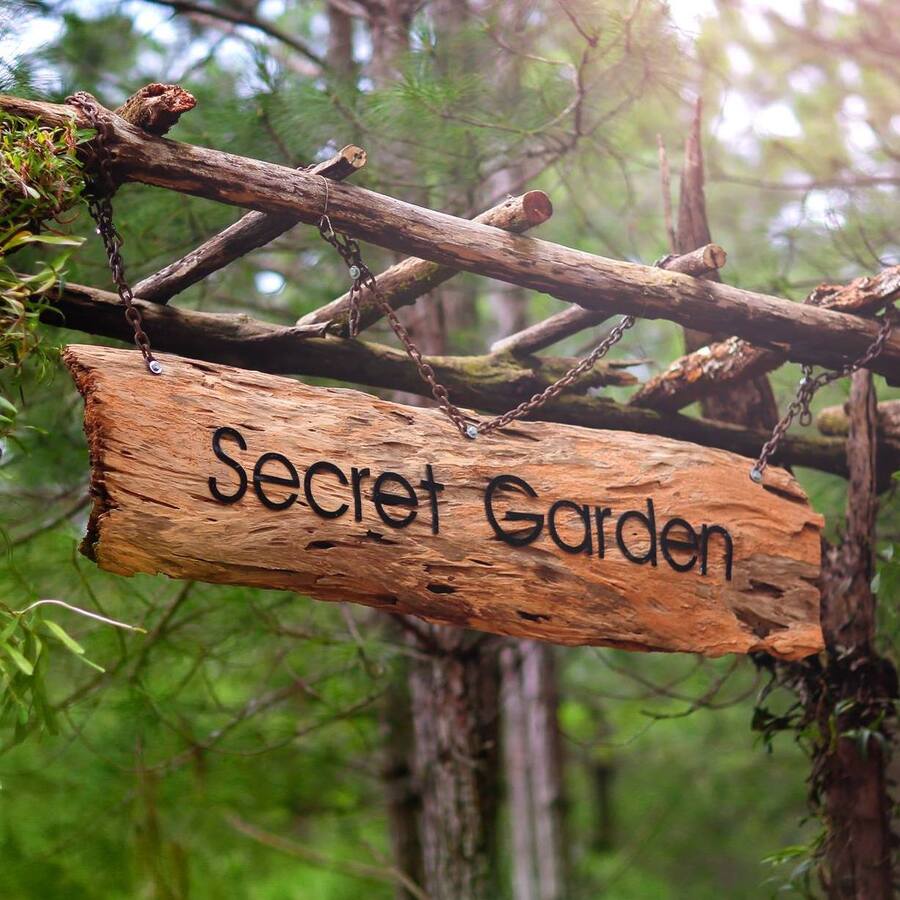 Hướng dẫn đường đến phim trường