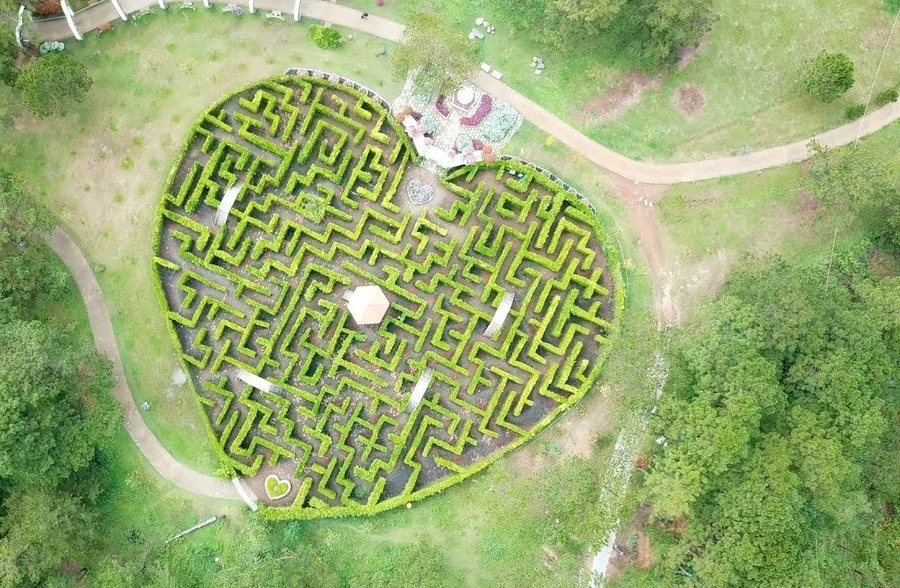 Các trò chơi ở thung lũng Tình Yêu Đà Lạt