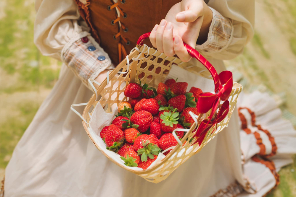 Kinh nghiệm hái dâu tây tại vườn và cách bảo quản