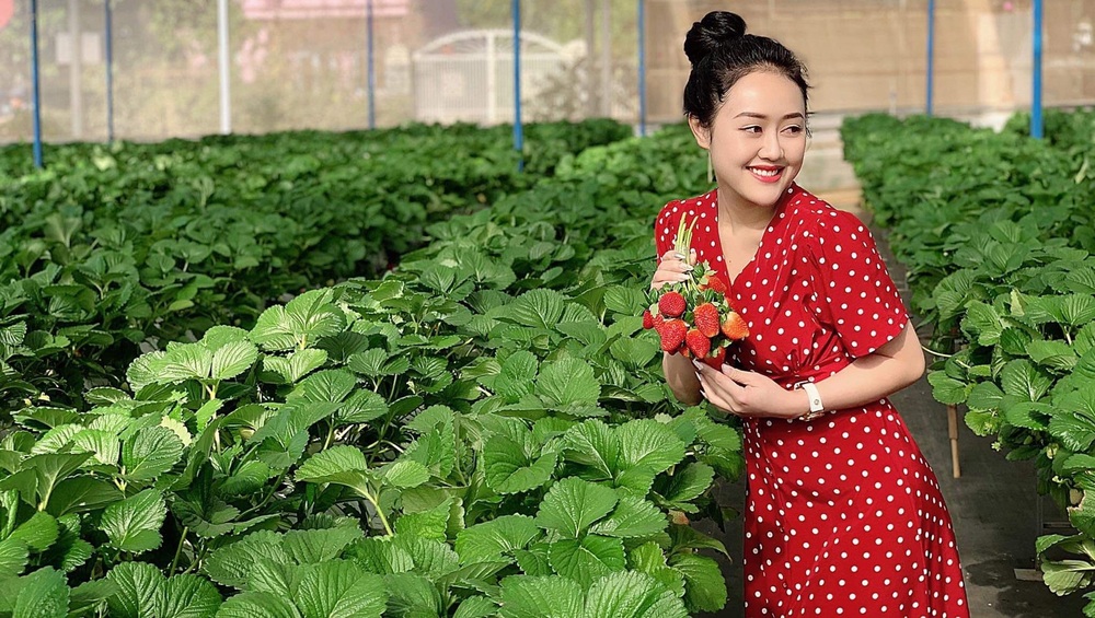 Vườn Dâu Tây Minh Hải Đà Lạt