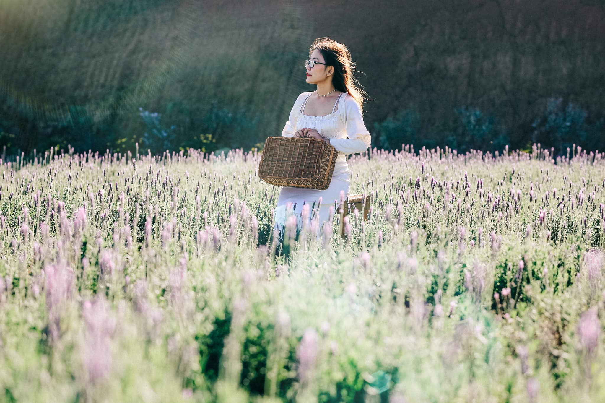 Một số lưu ý khi tham quan tại các cánh đồng hoa Lavende