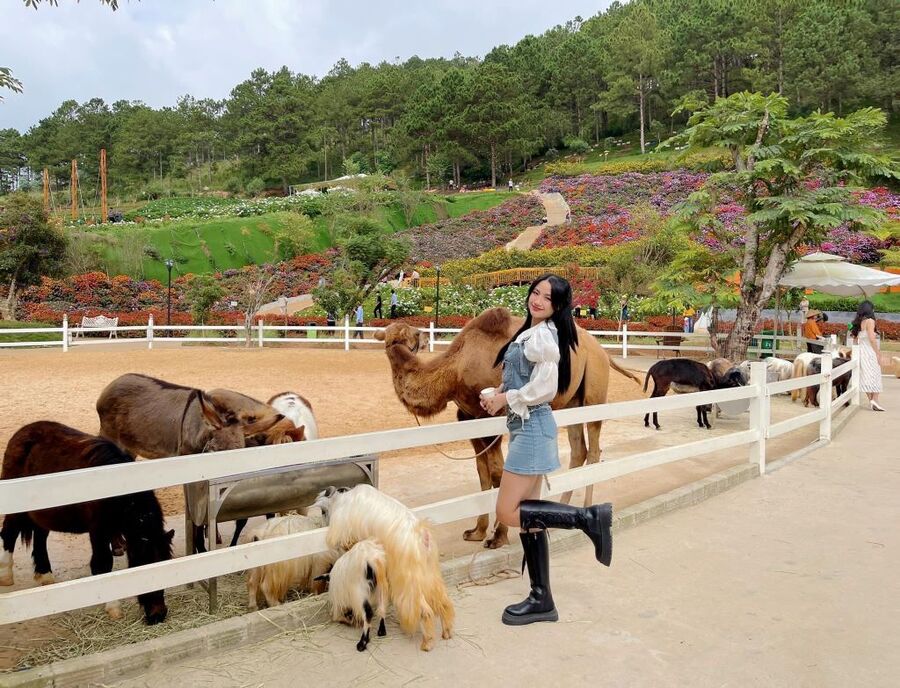 Lưu ý khi đến tham quan sở thú Zoodoo Đà Lạt