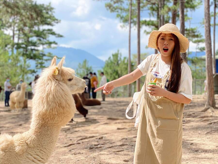 Địa chỉ sở thú Zoodoo Đà Lạt